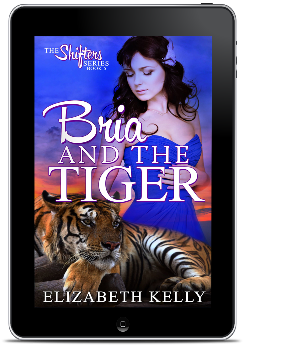 Bria and the Tiger Book Five (EBOOK)
