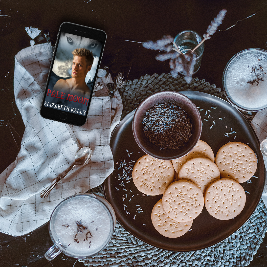 pale moon paranormal romance ebook by elizabeth kelly