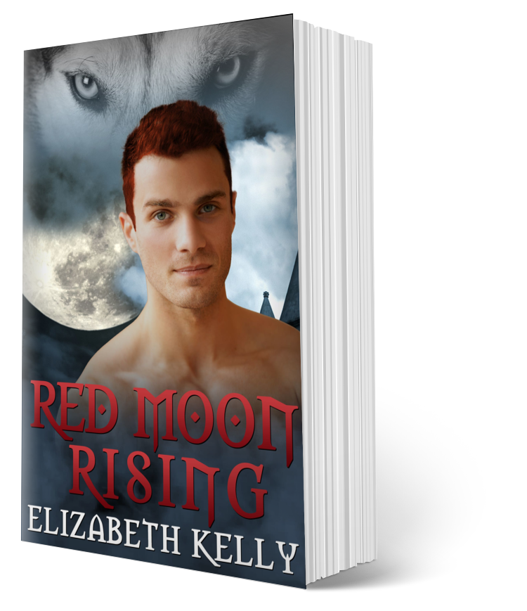 Red Moon Rising Paranormal Romance paperback by Elizabeth Kelly