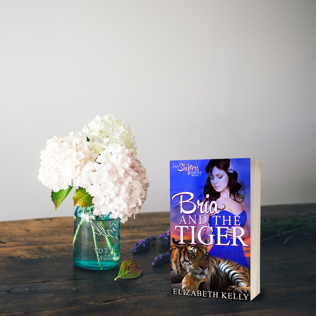 Bria and the Tiger Book Five (EBOOK)