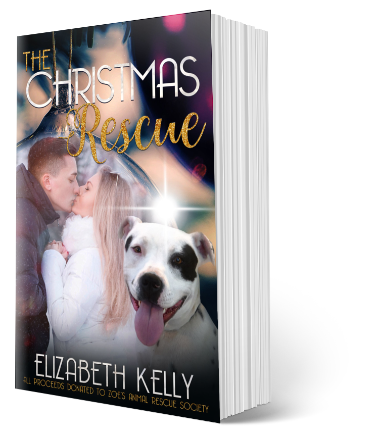 The Christmas Rescue holiday romance paperback by Elizabeth Kelly